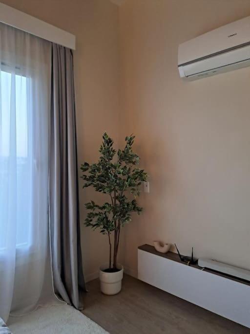 Luxury In The Heart Of Gouna 洪加達 外观 照片